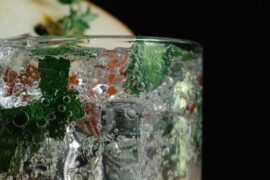 Quel est le meilleur gin pour un Gin Tonic exceptionnel ?